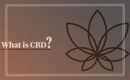 Фото - CBD (КБД) жидкости для вейпов