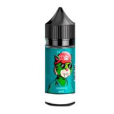 Ароматизатор Flavorlab RF350 Cranberry Mint 30 мл (со вкусом смородины и мяты) Фото - Ароматизатор Flavorlab RF350 Cranberry Mint 30 мл (со вкусом смородины и мяты)