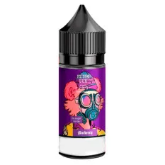 Фото - Ароматизатор Flavorlab RF350 Lux: Blueberry 30 мл (со вкусом черники)