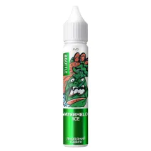 Фото - Ароматизатор In Bottle EVO Watermelon Ice 30 мл (со вкусом арбуза)
