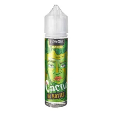 Ароматизатор In Bottle: Cactus 60 мл (зі смаком кактуса) Фото - Ароматизатор In Bottle: Cactus 60 мл (зі смаком кактуса)
