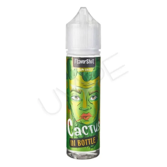 Фото - Ароматизатор In Bottle: Cactus 60 мл (со вкусом кактуса)